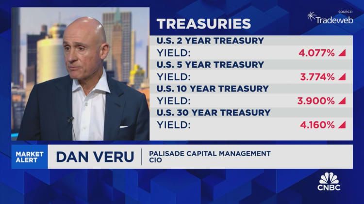 A screenshot of Dan Veru appearing on CNBC bedside a chart of treasury yields